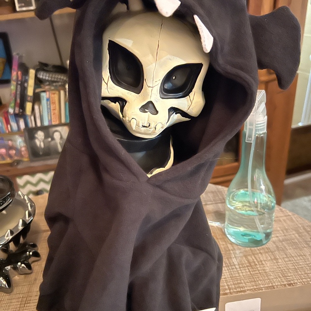 Dog hoodie